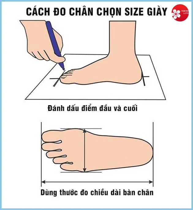 Thực hiện đo size chân chính xác là bước quan trọng nhất để mua được giày vừa vặn