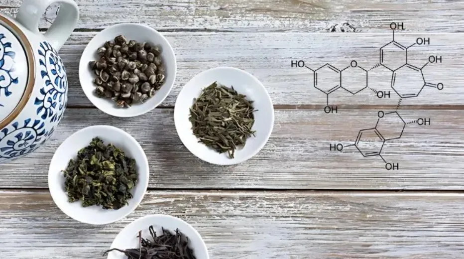 Thành phần Tannin trong bã trà có khả năng tiêu diệt vi khuẩn gây mùi hiệu quả